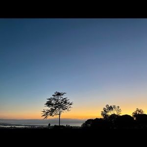 Meet your Posher, Meggie